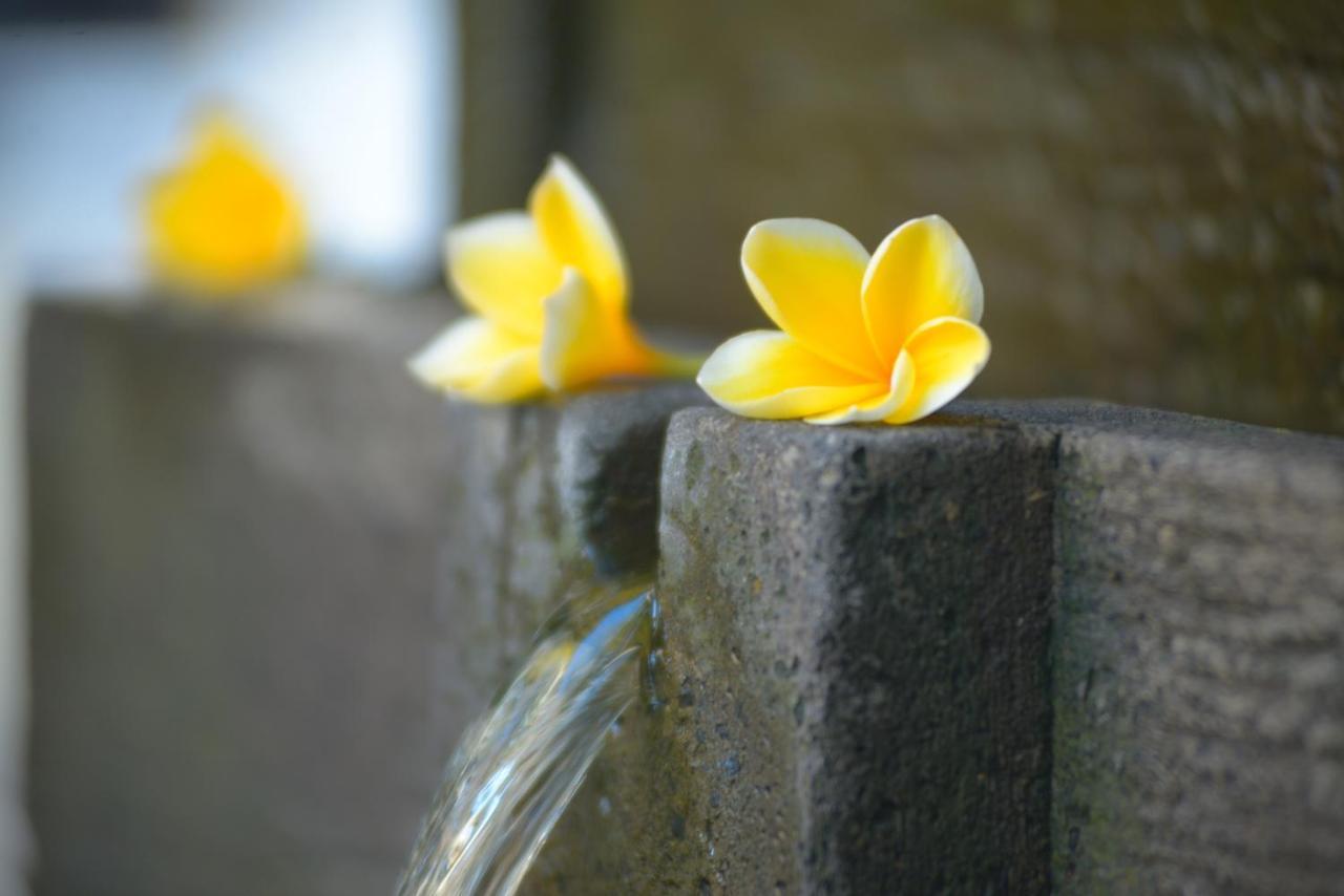 Andari Legian Hotel Bali Kültér fotó